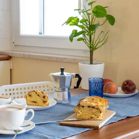 Italian Experience-sweet Conero *